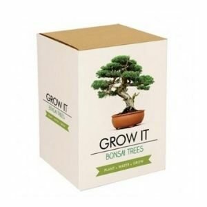 Kit för att odla ett bonsaiträd är en kul present till någon som gillar växter