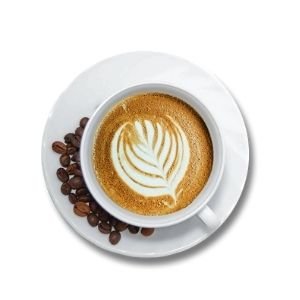 Kaffeprovning från böna till fika