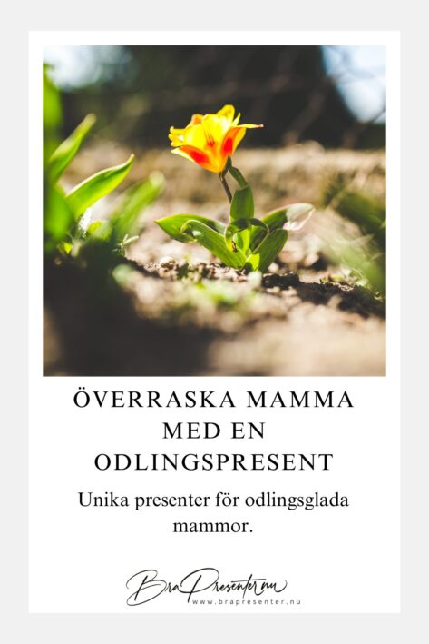 Överraska mamma med en odlingspresent	Unika presenter för odlingsglada mammor.	Behöver du en bra present till din odlingsintresserade mamma? Vi har samlat de bästa tipsen för att göra henne riktigt glad. Läs bloggen. #odling #presentidéer #mamma