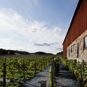 Ge bort en vandringsweekend – aktiv semesterpresent i Sverige